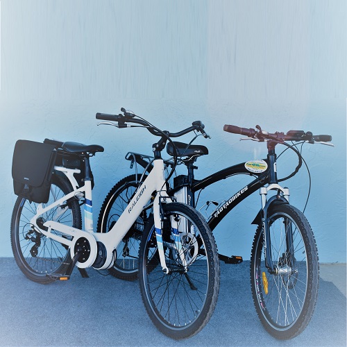 Electric Bike Sales and Rentals